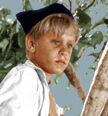 Lord Of The Flies Roger Quotes. QuotesGram