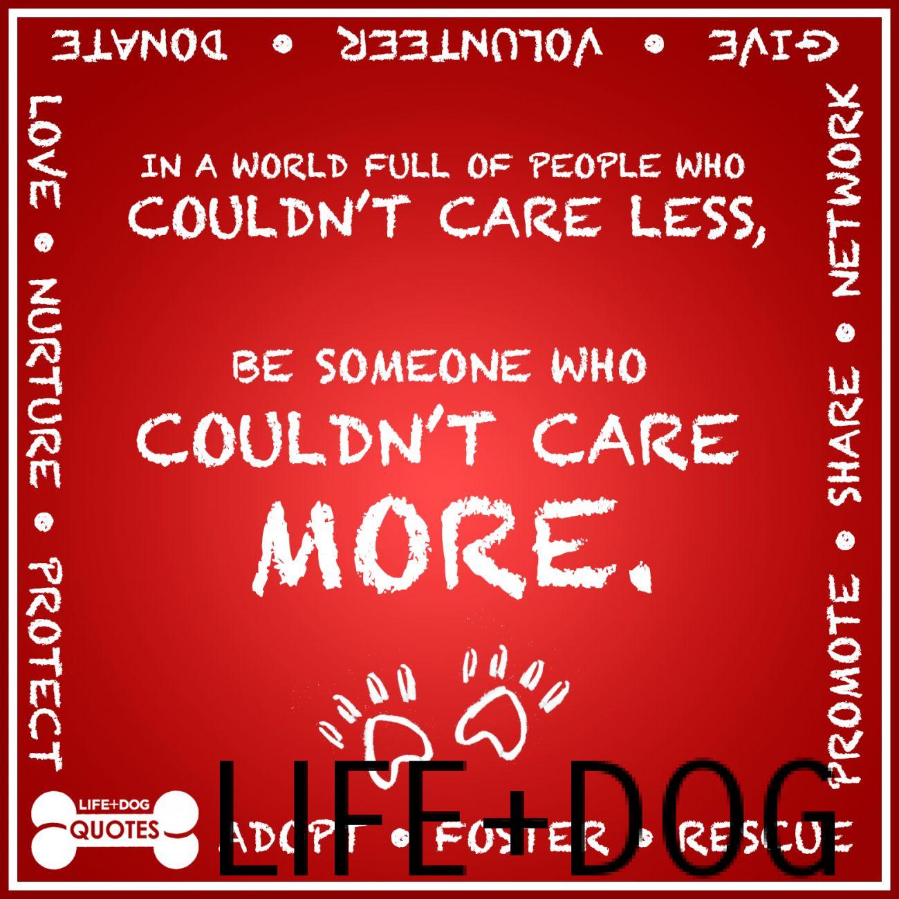 quotes cares someone quotesgram dog