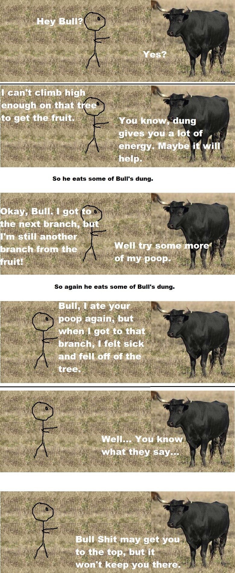 Funny Quotes About Bull Shit. QuotesGram