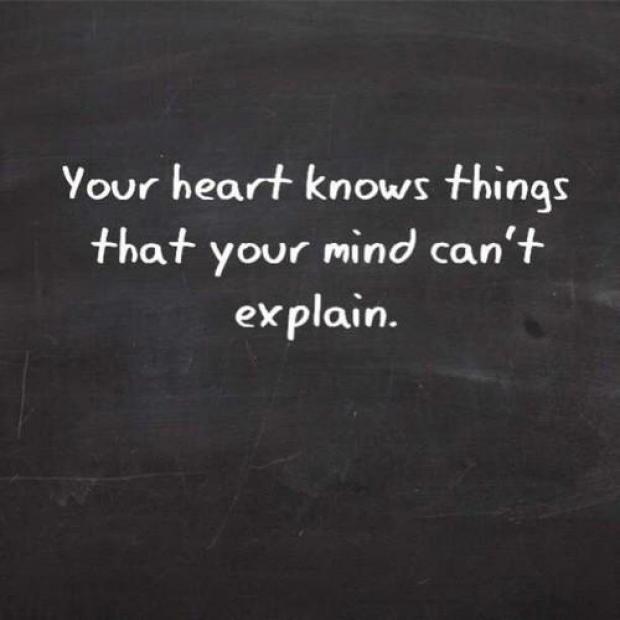Words Cant Explain Quotes Quotesgram Words Cant Explain Quotes Quotesgram