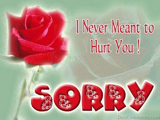 Im Sorry For Hurting You Quotes Quotesgram