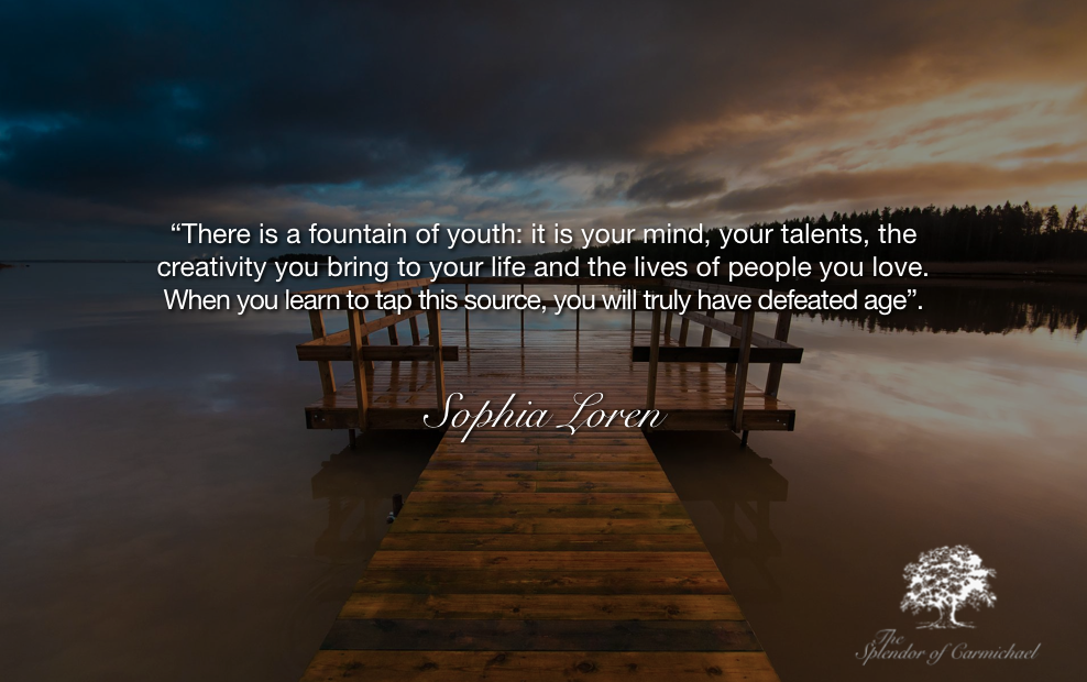 timeless beauty age and beauty quotes timeless beauty age and beauty quotes