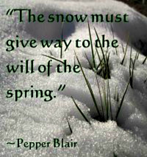 Spring Forward Funny Quotes. QuotesGram