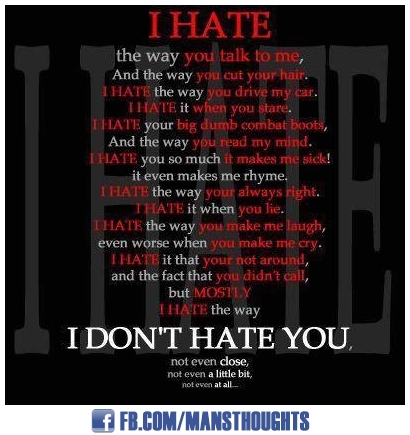 what is love-hate relationship definition