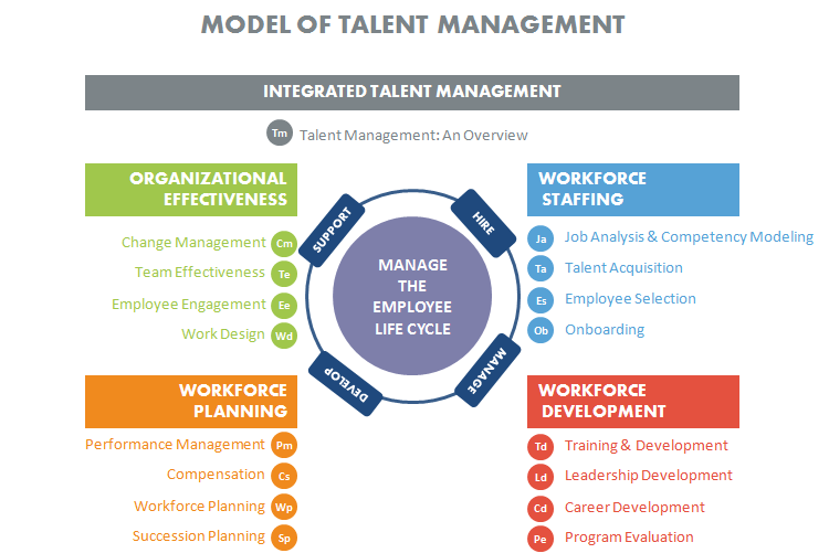 Talent Development Quotes. QuotesGram