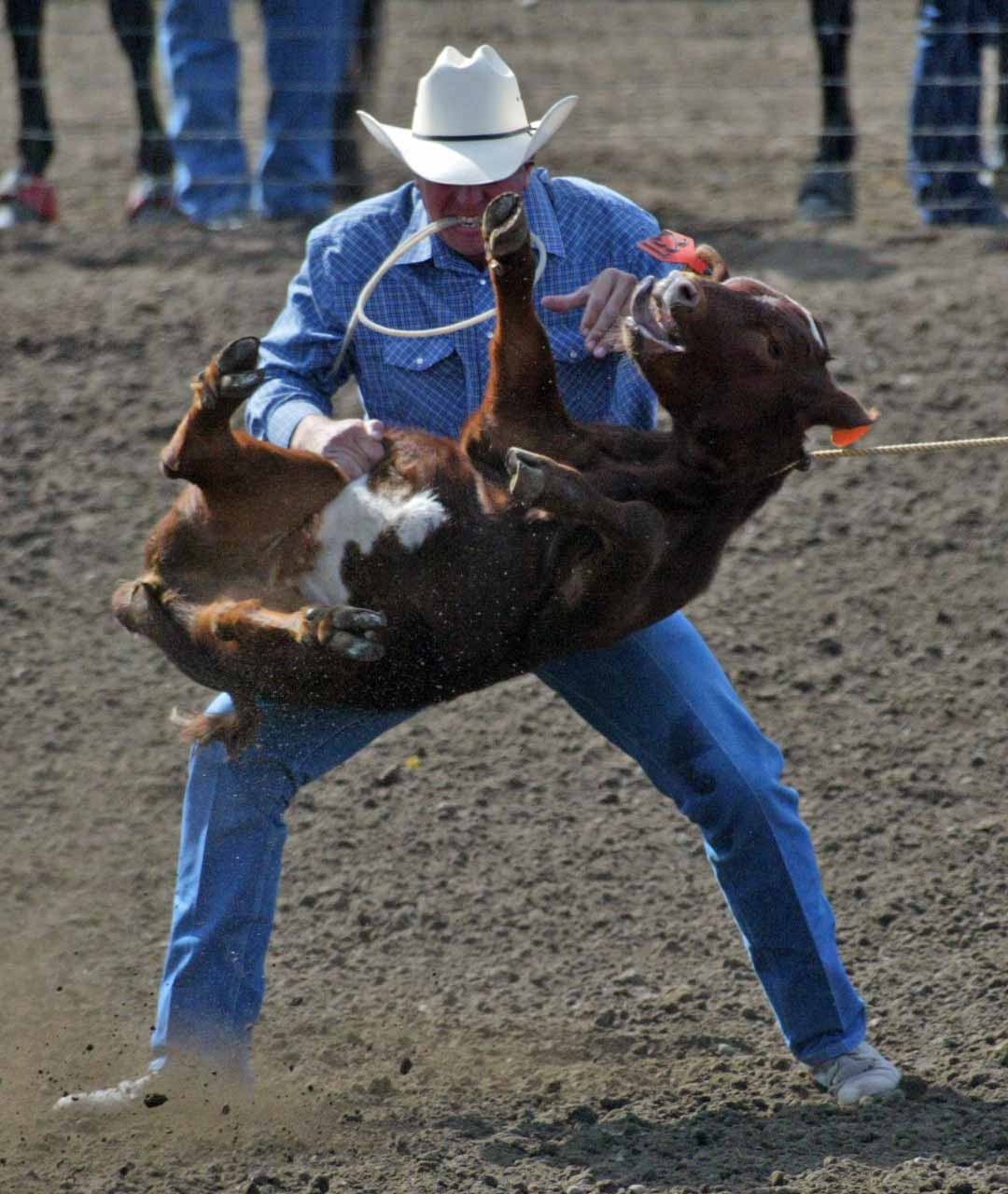 Famous Quotes About Animal Cruelty. QuotesGram