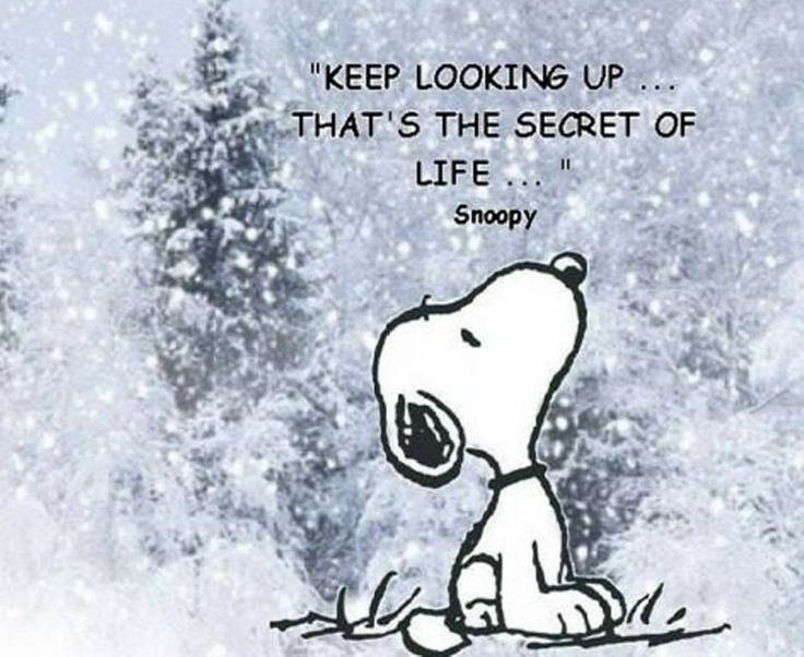 Winter Friend Quotes. QuotesGram