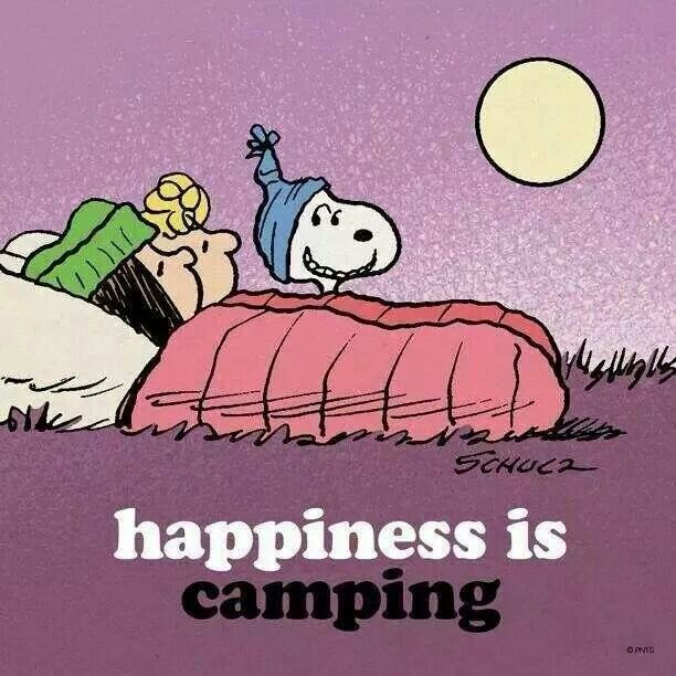  Cute Camping Quotes  QuotesGram