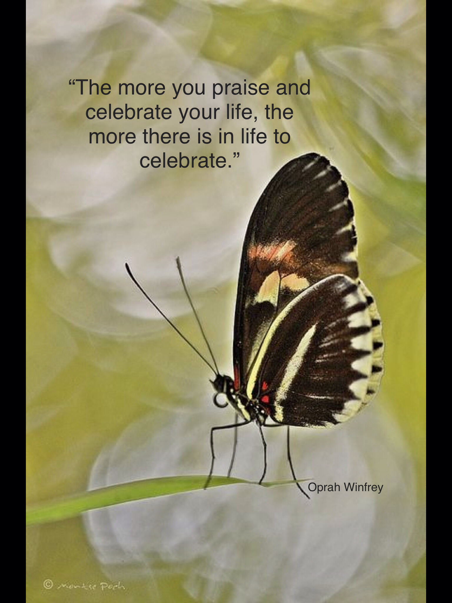  Butterfly  Blessings Quotes  QuotesGram