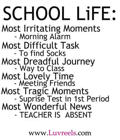 School Memories Quotes Quotesgram
