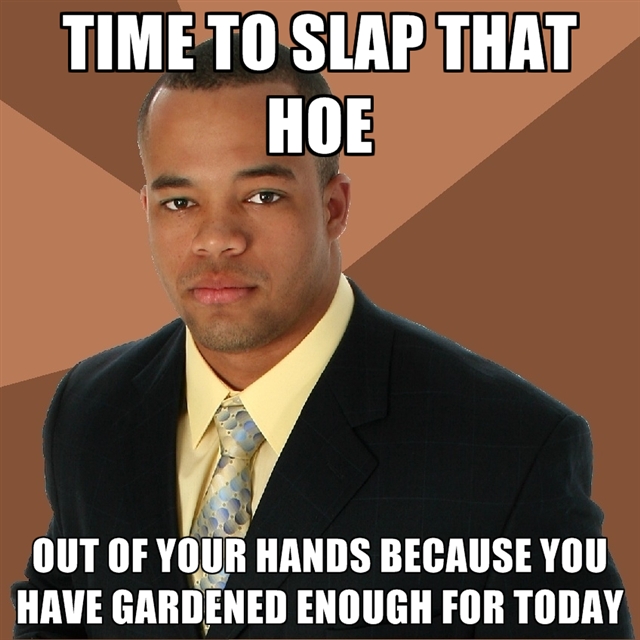 1668236790-time-to-slap-that-hoe-out-of-your-hands-because-you-have-gardene.jpg