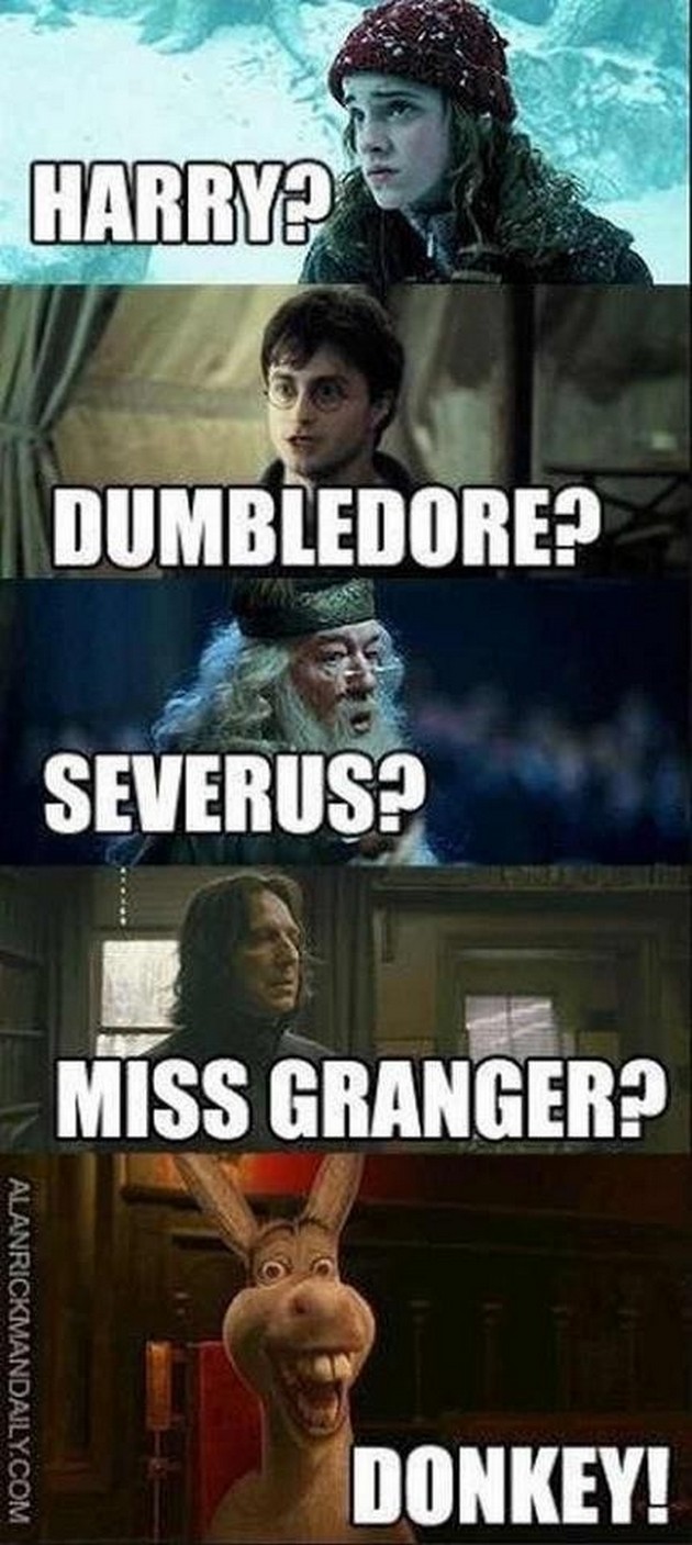 Image result for memes engraçados de harry potter em portugues