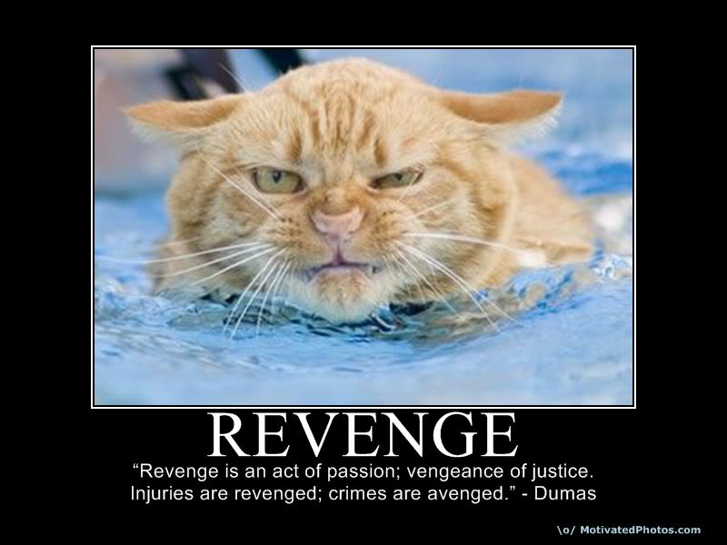 Revenge Quotes For Motivation. QuotesGram