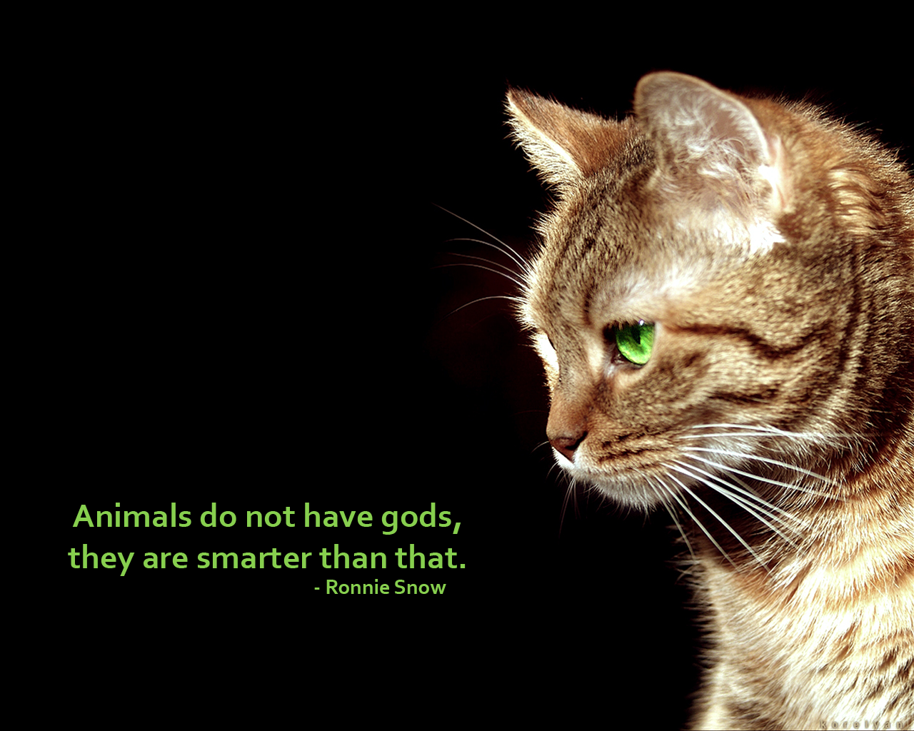 Animals And God Quotes. QuotesGram
