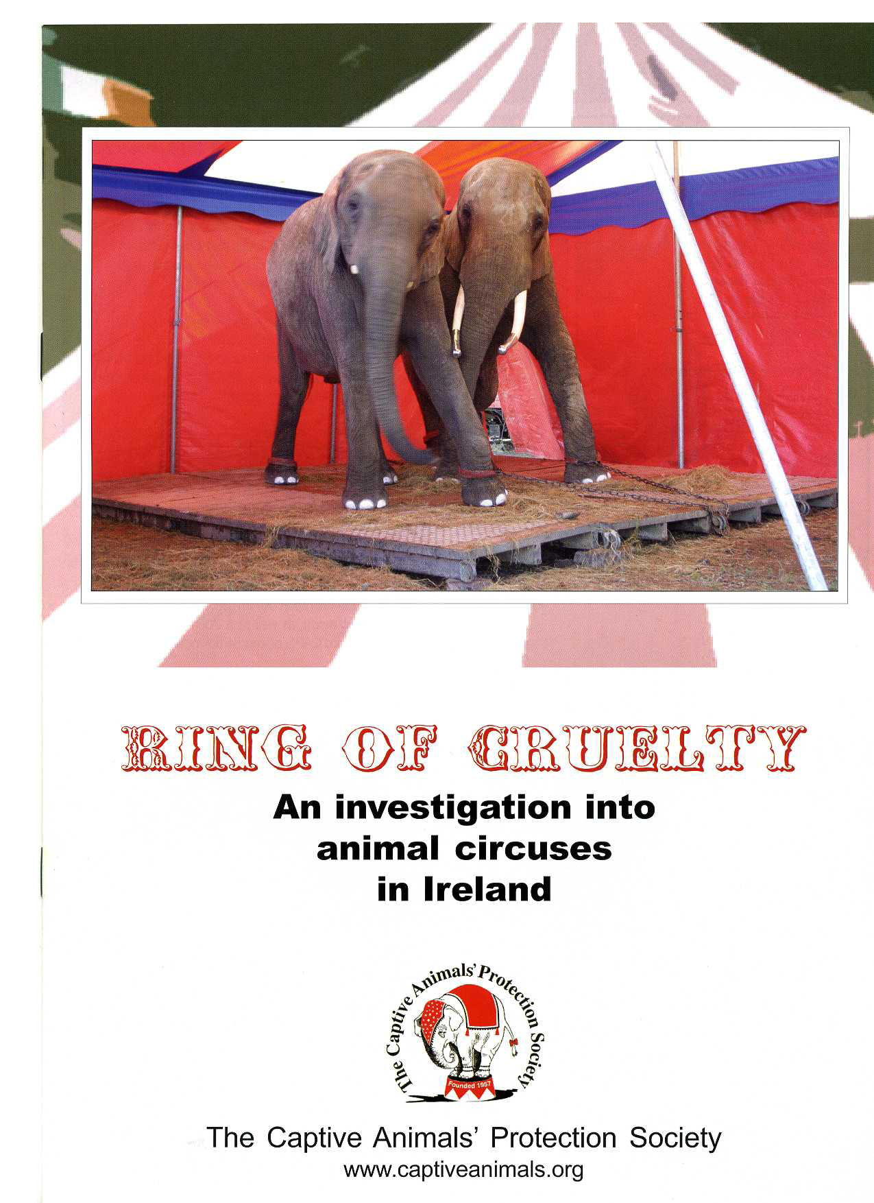 Rebel Quotes (@rebelcircusquotes_) • Instagram photos and videos, image size:1275x1754