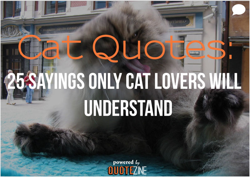 Birthday Quotes For Dog Lovers Quotesgram
