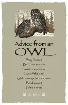 Owl Quotes About Life. QuotesGram Owl Quotes About Life. QuotesGram