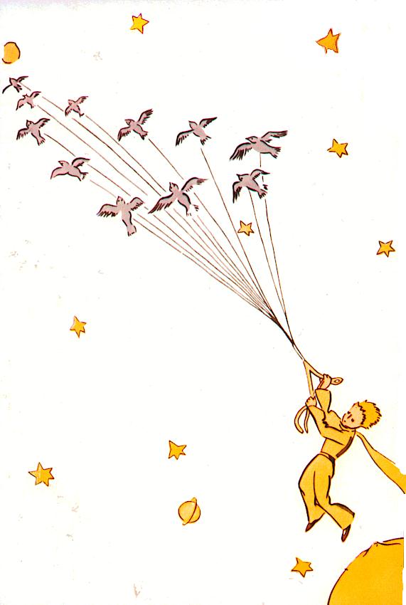 The Little Prince Rose Quotes. QuotesGram