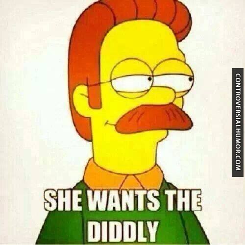 Ned Flanders Diddly Quotes. QuotesGram