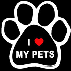 Quotes I Love My Pets. QuotesGram