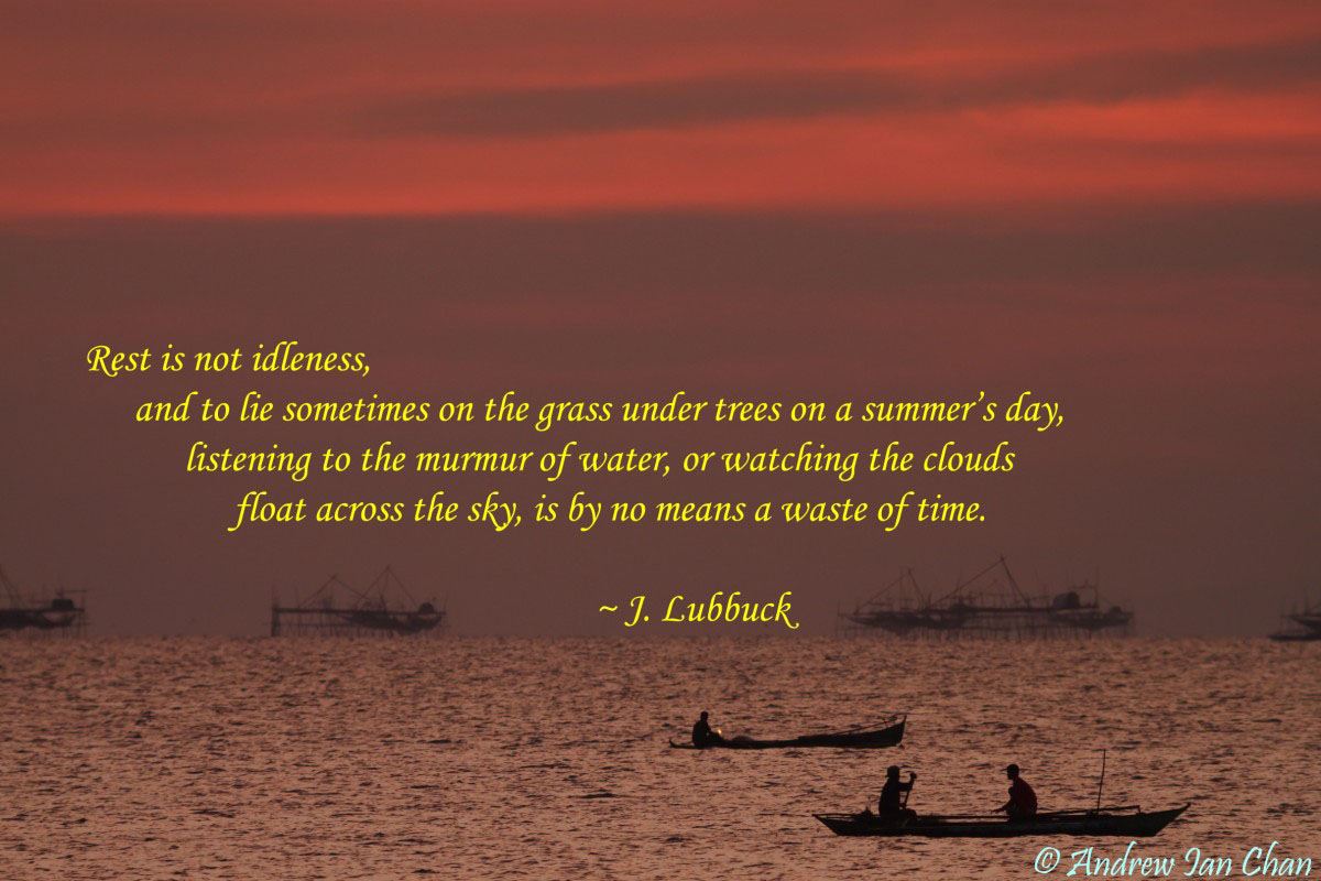 Solar Eclipse Quotes. QuotesGram