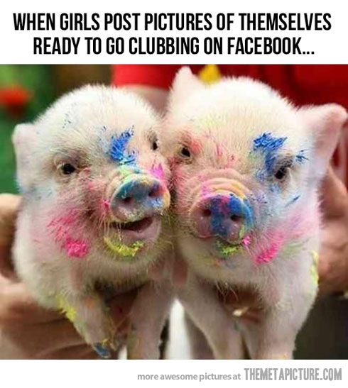 Pig Quotes That Are Witty. QuotesGram