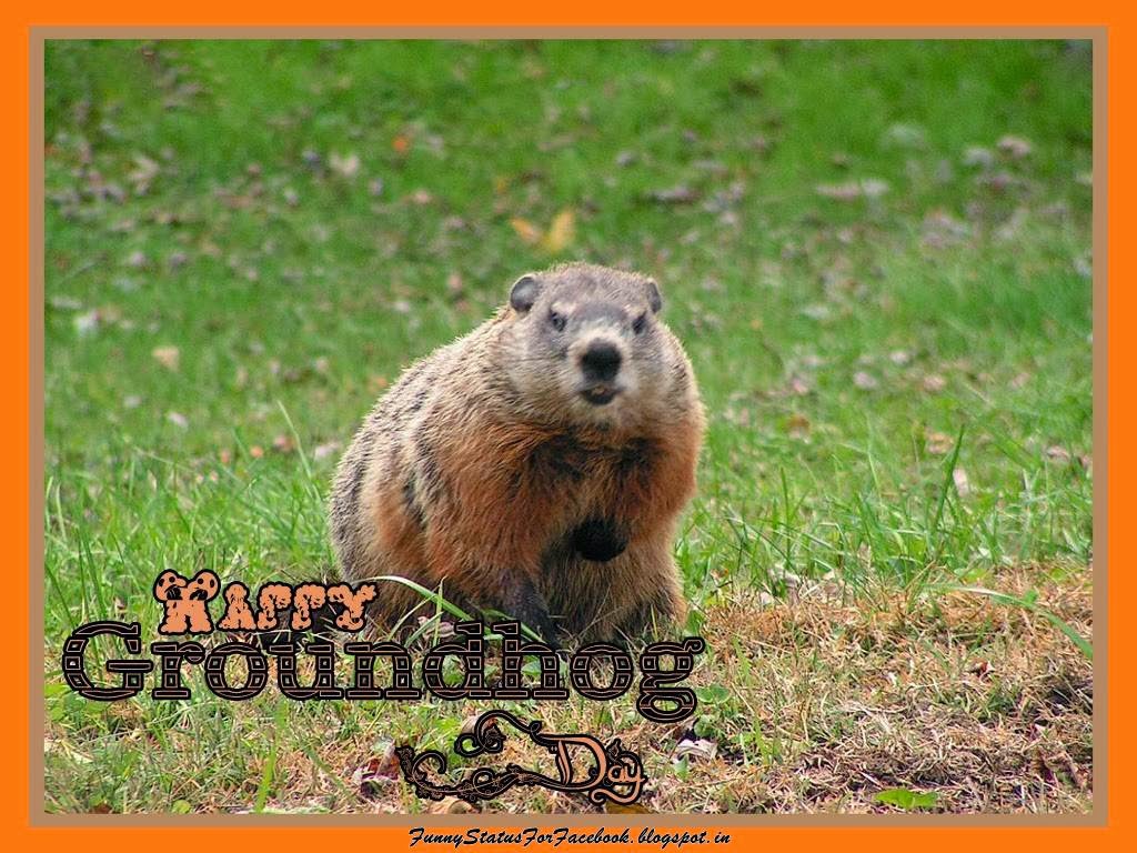 groundhog day buddhism happy groundhog day quotes quotesgram groundhog day buddhism happy groundhog day quotes quotesgram