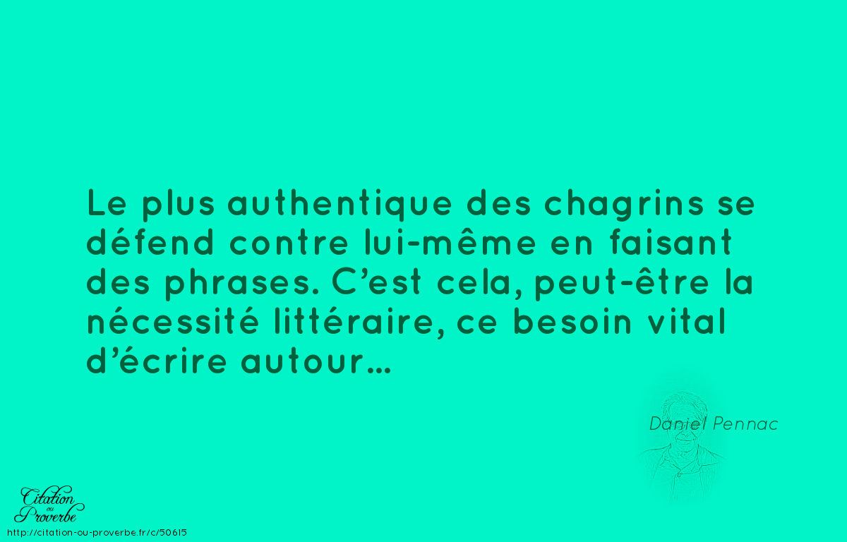 Daniel Pennac Quotes Quotesgram