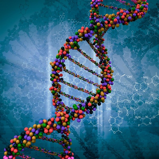 Расшифрованные геномы. Геном человека. Проект человеческий геном. Геномика проект геном человека. Генетика картинки.