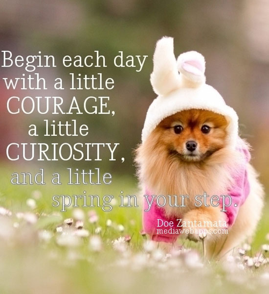 Cute Quotes About Spring. QuotesGram