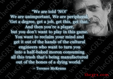 Terence Mckenna Quotes Motivational. QuotesGram