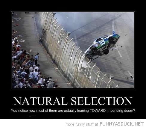 funny race car meme