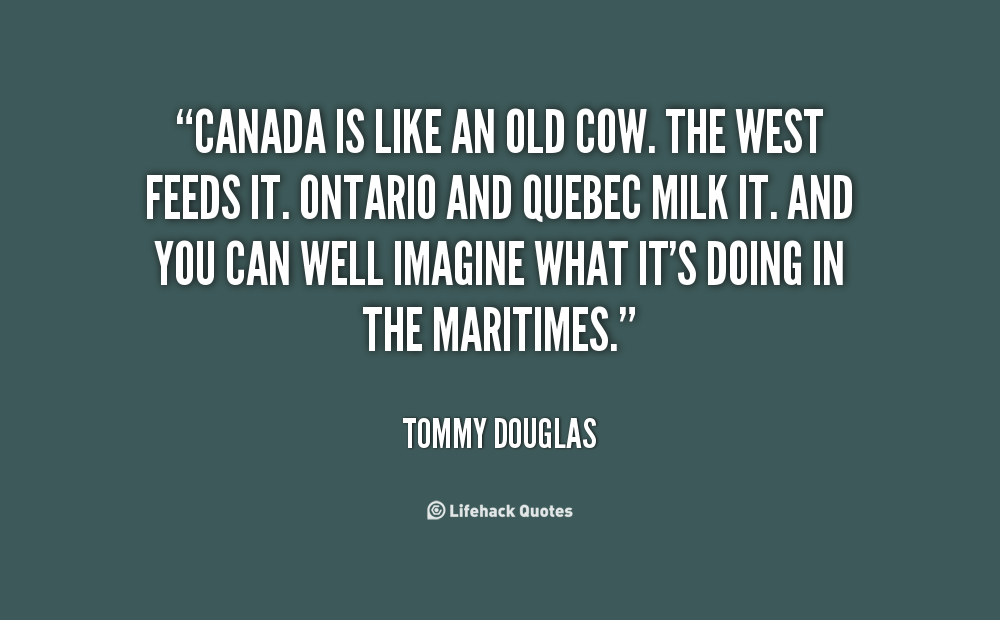 Cow Sayings Quotes. QuotesGram