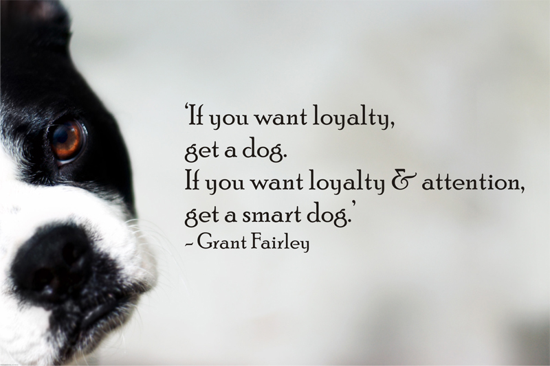 Dog Loyalty Quotes. QuotesGram