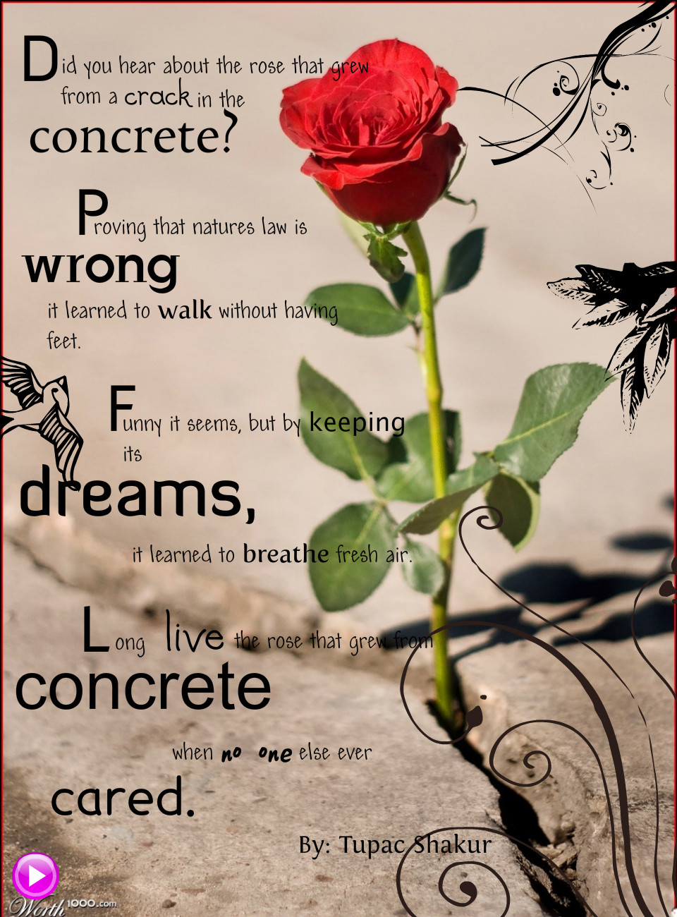 Rose From Concrete Tupac Quotes. QuotesGram