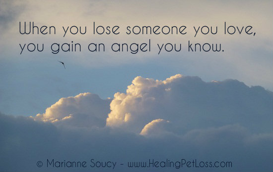 Sad Quotes To Comfort Someone Quotesgram