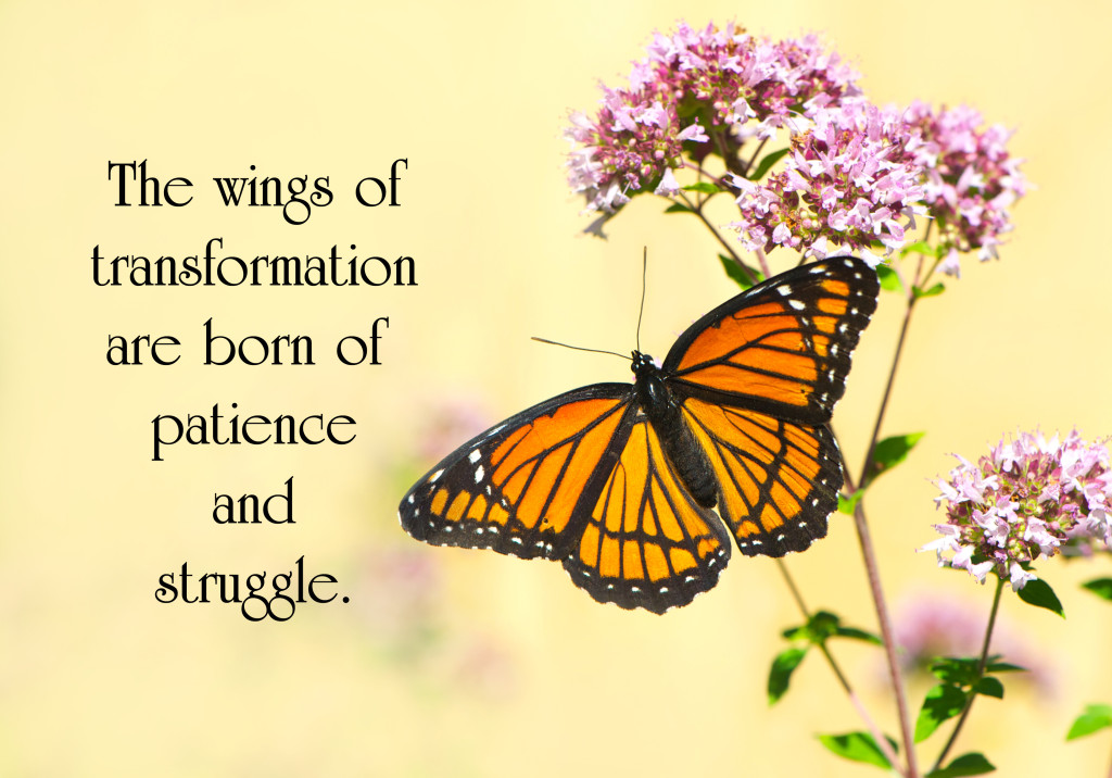  Butterfly  Rebirth Quotes  QuotesGram