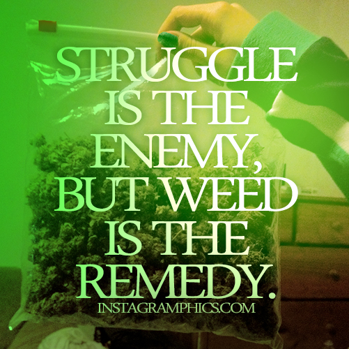 Funny Weed Quotes And Sayings. QuotesGram