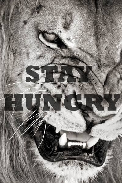 Hungry For Success Quotes Quotesgram