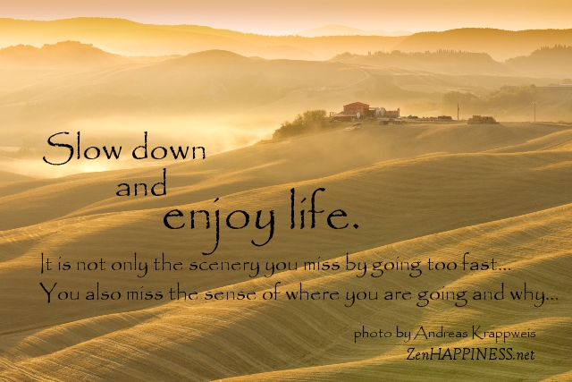 Quotes About Life S Journey Together. QuotesGram