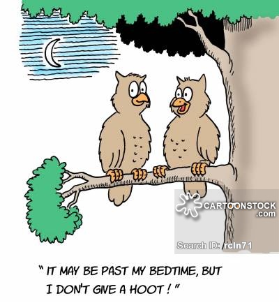Cartoon Quotes About Owls. QuotesGram