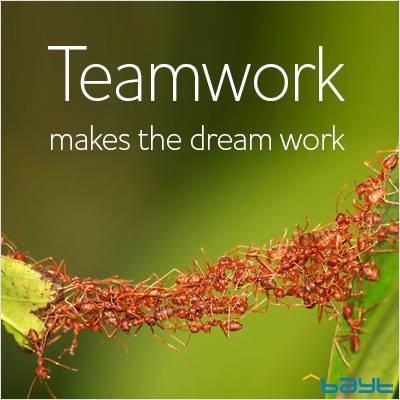 Dream Team Funny Quotes. QuotesGram