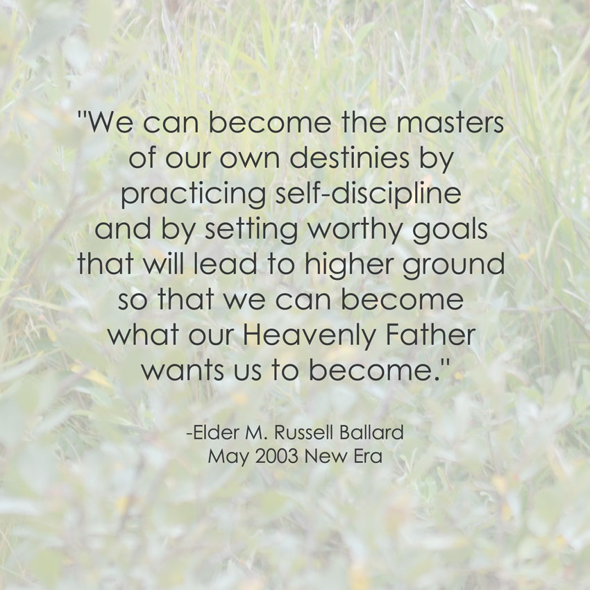 Lds Quotes On Goals. QuotesGram