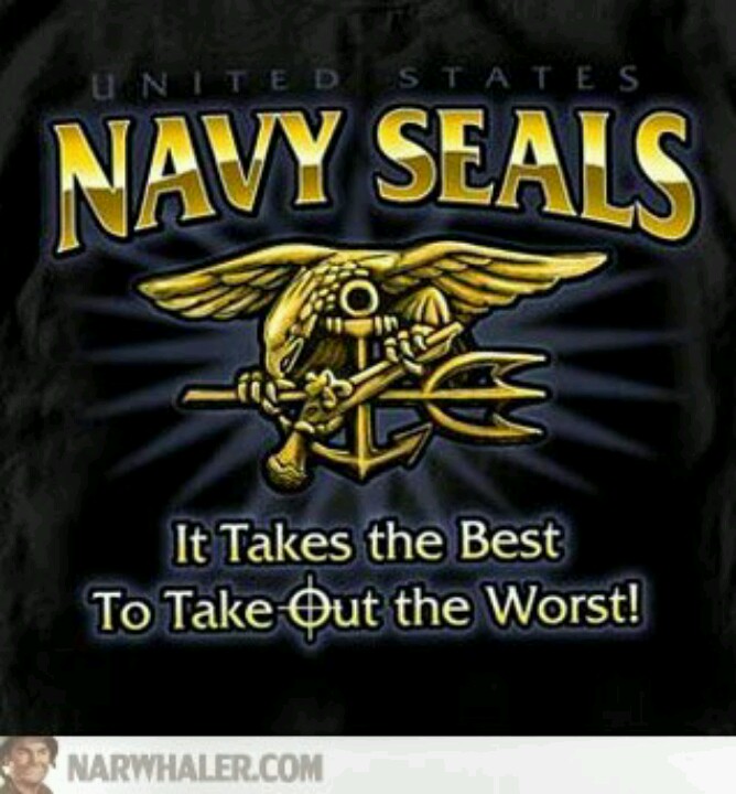 Navy Seal Sayings And Quotes. QuotesGram