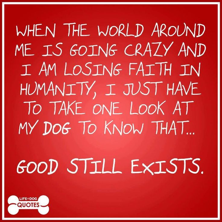 sweet-quotes-about-dogs-quotesgram