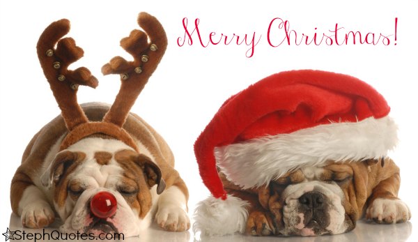 Christmas Dog Quotes. QuotesGram