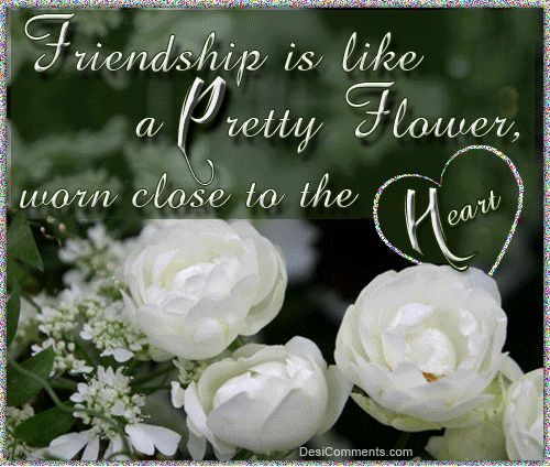 Friendship Like Flowers Quotes Friendship Quotes Like A Flower. Quotesgram
