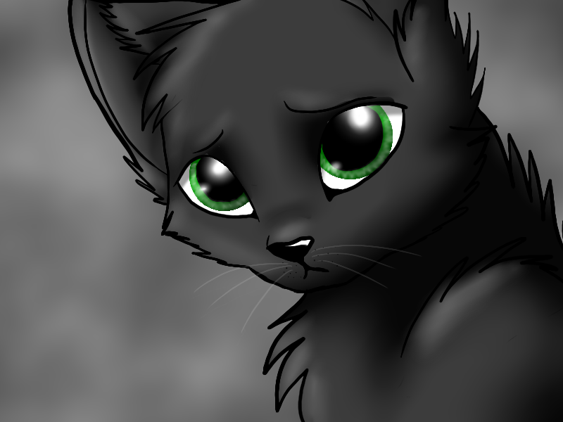 Warrior Cats Sad Quotes. QuotesGram