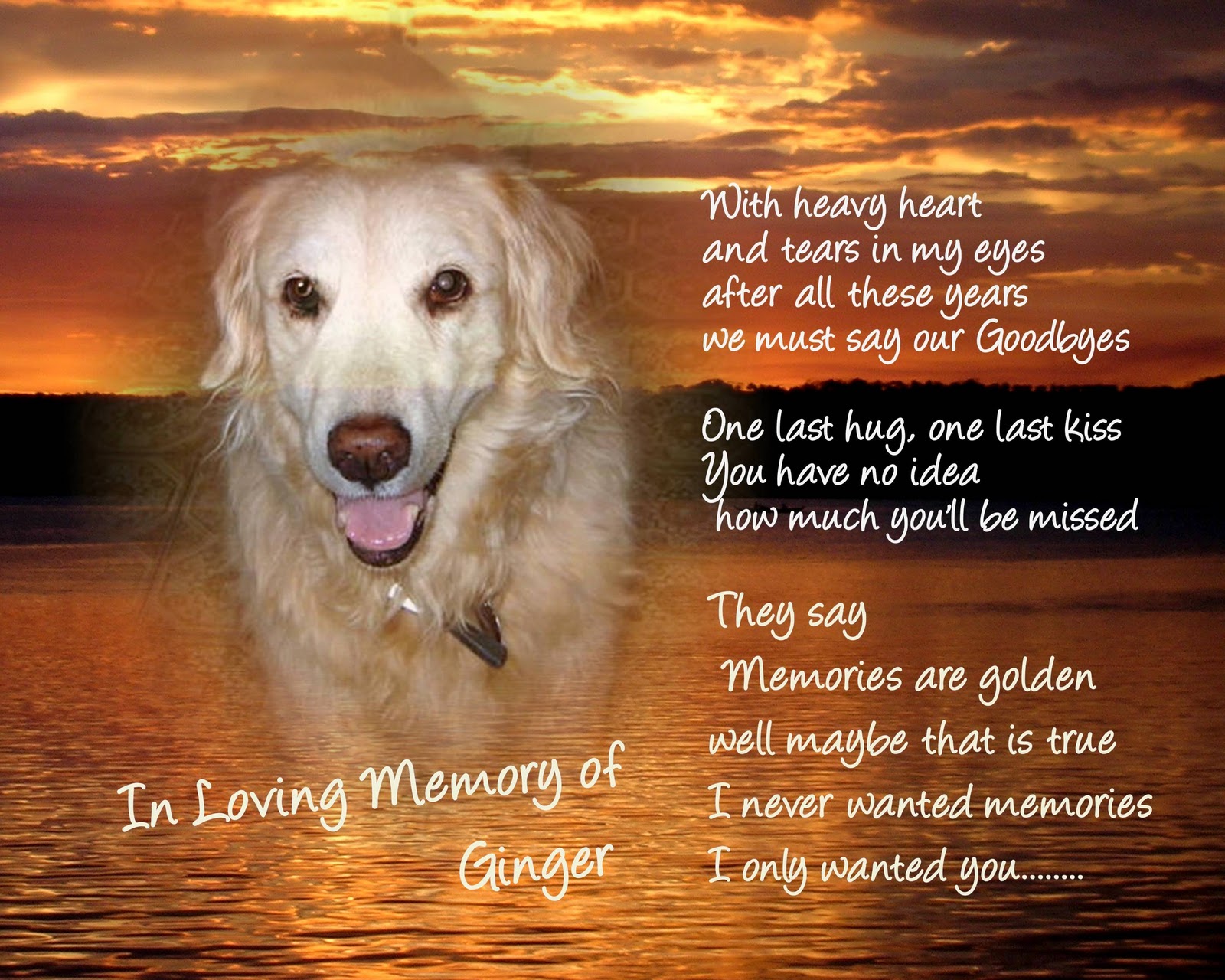 Dog Memorial Quotes QuotesGram