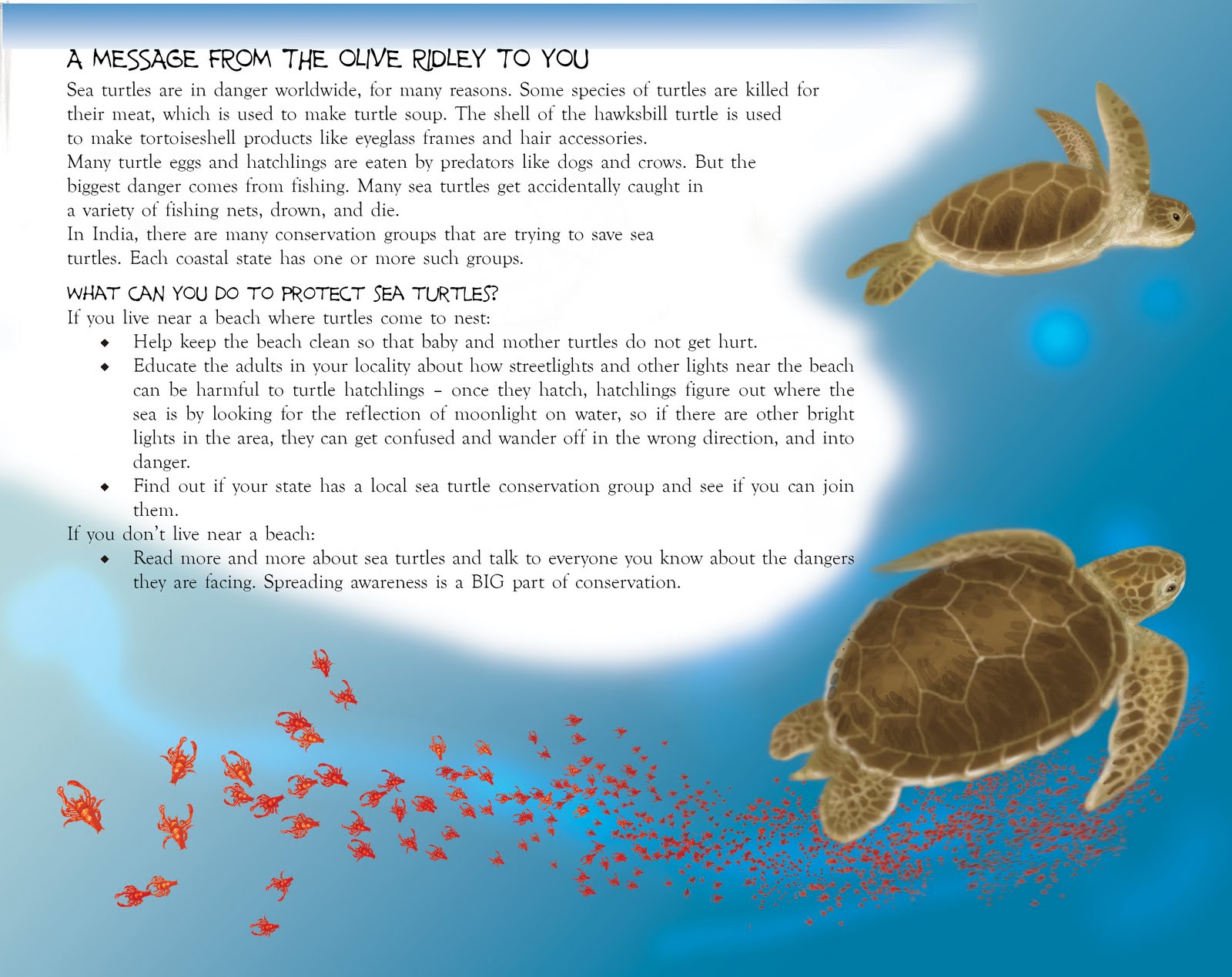 Quotes About Sea Turtles. QuotesGram